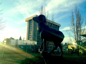 Westfall Hall, in Fort Collins, CO.. Where I went to school!